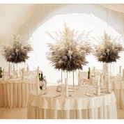 Mona Wedding Decor