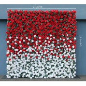 Inexpensive Paper Flower Walls