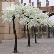 Long Tall Flower Arrangements